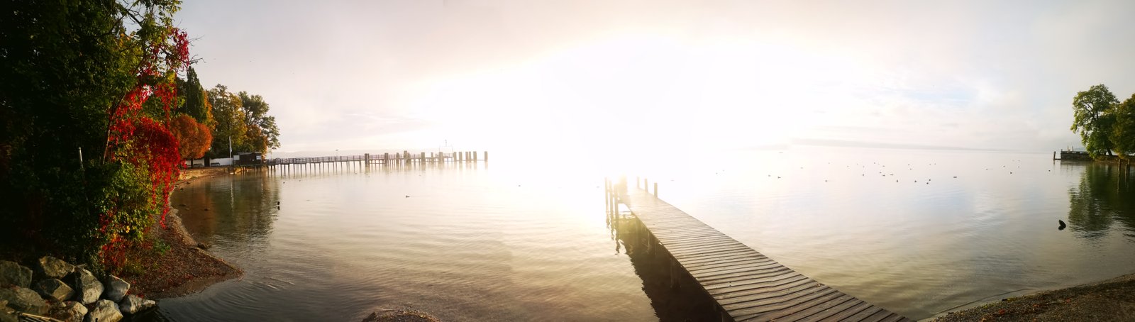 Starnberger See bei Tutzing – Morgenstimmung am Steg