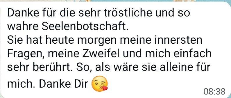 WhatsApp-Nachricht aus der Community: Sie hat meine innersten Fragen und Zweifel berührt, als wäre sie allein für mich.